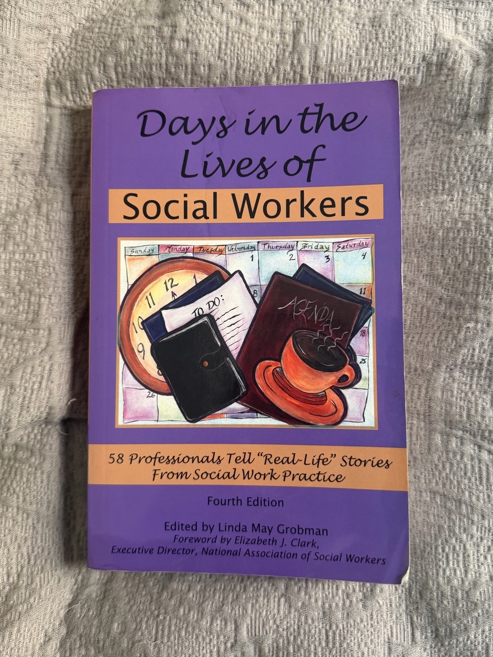 Days in the Lives of Social Workers Paperback Book by Linda May Grobman